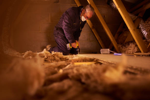 Types of Insulation We Offer in Du Quoin, IL